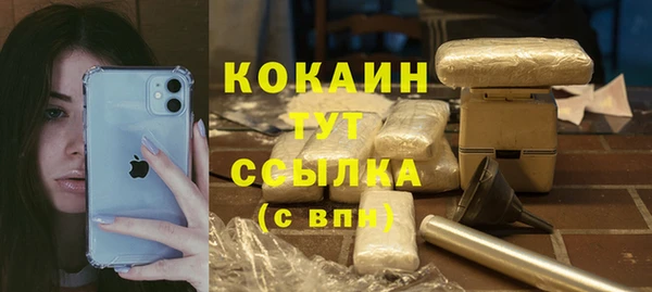 сатива Зерноград