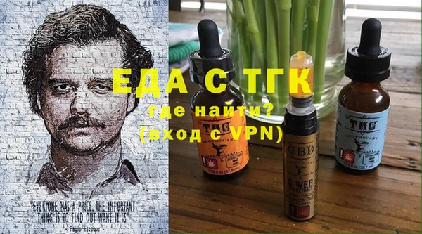 СК Инта