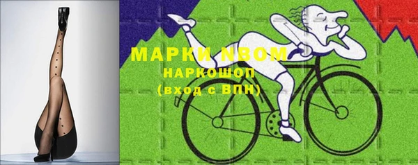 сатива Зерноград