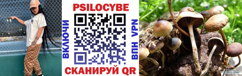 Псилоцибиновые грибы GOLDEN TEACHER  Ивантеевка 