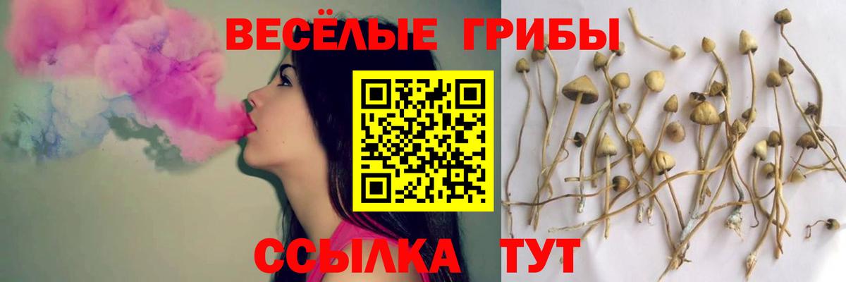 Ивантеевка  Псилоцибиновые грибы Cubensis  Вход с VPN 