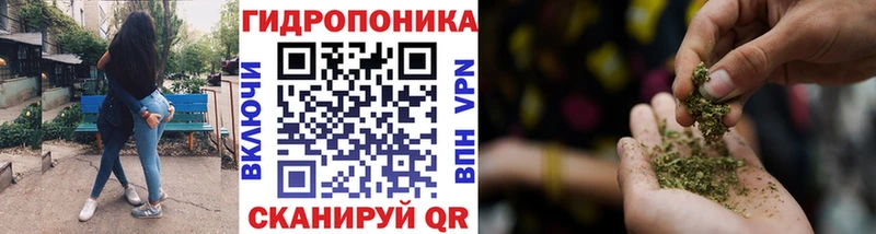Бошки Шишки SATIVA & INDICA  наркошоп  Ивантеевка 